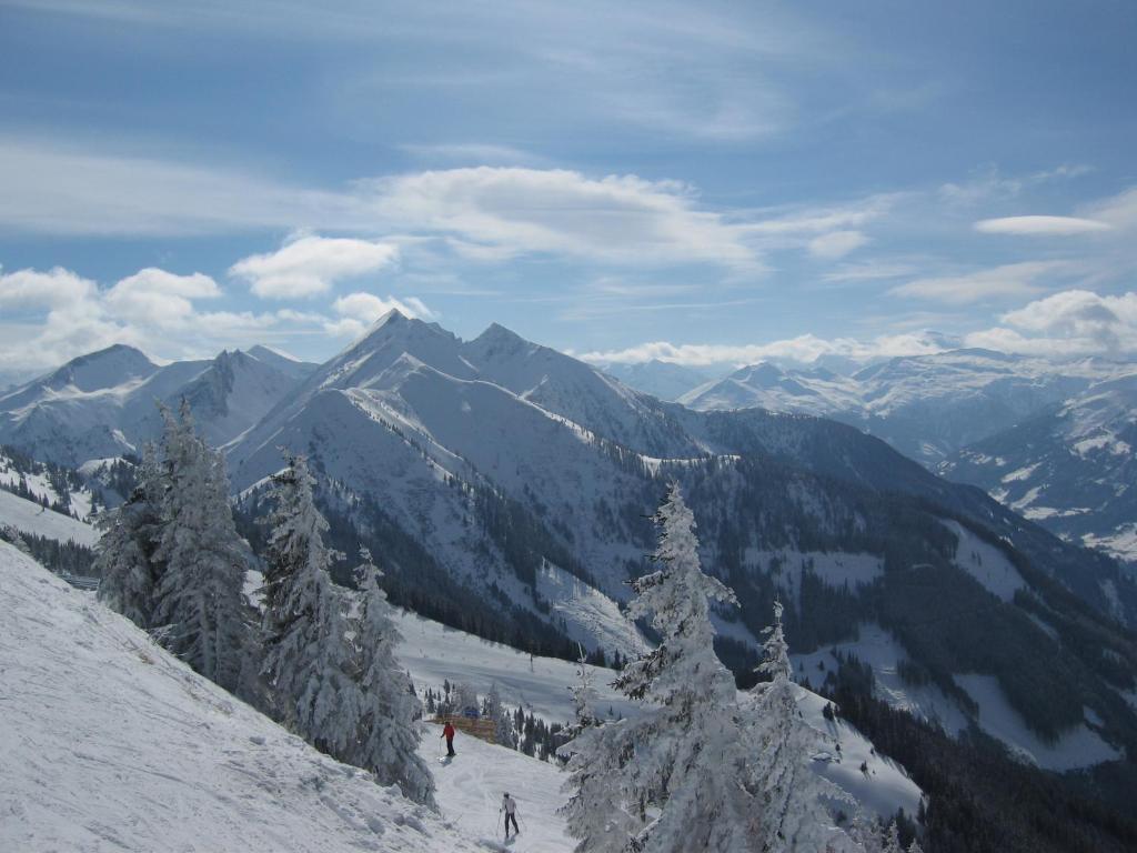 Gaestehaus Gratz - Inklusive Eintritt In Die Alpentherme Dorfgastein Extérieur photo