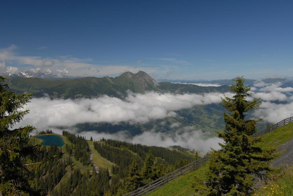 Gaestehaus Gratz - Inklusive Eintritt In Die Alpentherme Dorfgastein Extérieur photo